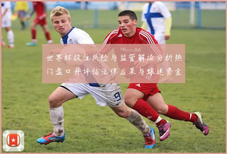世界杯投注风险与监管解读分析热门盘口并评估法律后果与球迷资金应对
